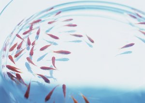 API网关的常见故障排查方法